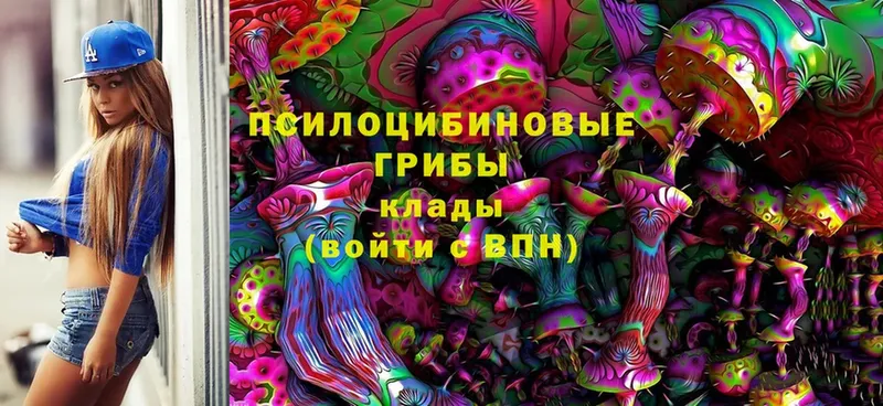 где можно купить   ОМГ ОМГ маркетплейс  Псилоцибиновые грибы мухоморы  дарк нет какой сайт  Северодвинск 